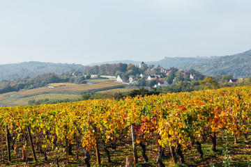village de Bourgogne en automne. Saint-Romain côte-d'or. vignes automnales