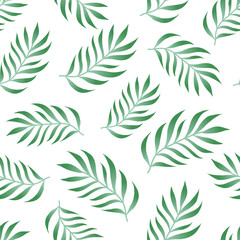 Tropical seamless pattern with fern, palm leaves, green color branches on white background. Floral vector summer jungle background