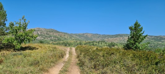 Natural landscape. Path in the forest. The mountains.