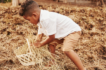 Cute little african american boy is on the farm at summertime