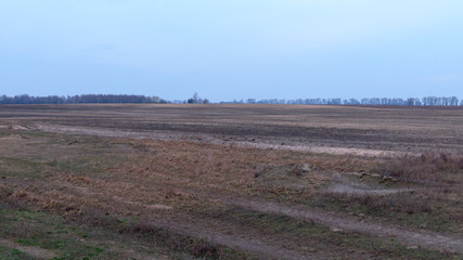 Agricultural field on a cloudy spring evening.