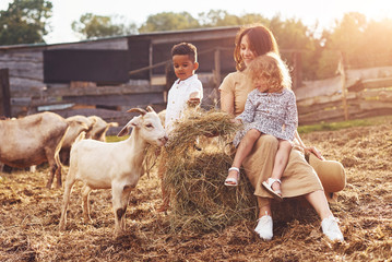 Young mother with her daughter is on the farm at summertime with goats
