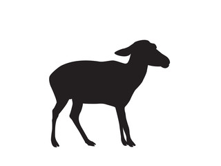 Silhouette of sheep on white background. Vector Illustration