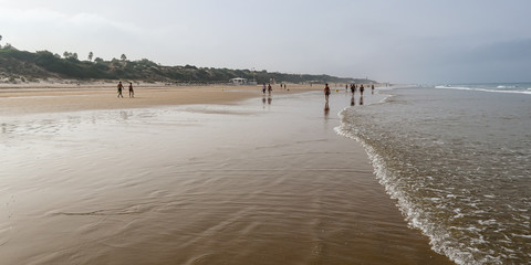 La Barrosa beach in Sancti Petri, Cádiz, with a large amount of sand without water as the tide is low