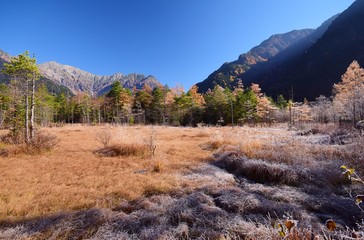 Fototapeta premium 信州 上高地 秋景色