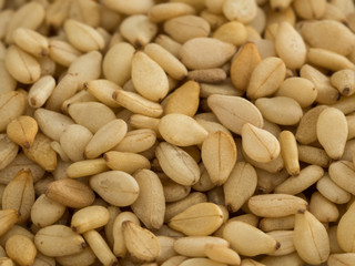 Sesam Makro