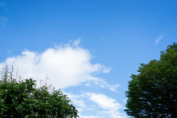 青い空と白い雲