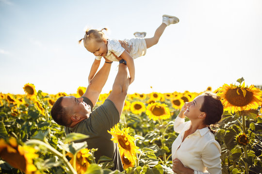Happy family having fun in the field of sunflowers. Father and mother throw their daughter in the air and smile. Girl likes playing with her parents. Summer season, freedom, family value concept.