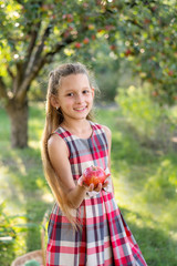 A beautiful long-haired girl picks apples in the garden. The child is holding a basket of apples. The girl smiles and picks apples. Harvesting