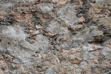 Old concrete or rock wall with green moss and fern