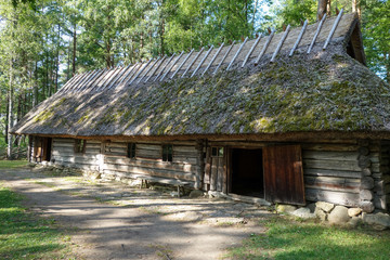old wooden house in the forest