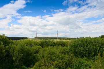 Summer landscape with a power line through the woods