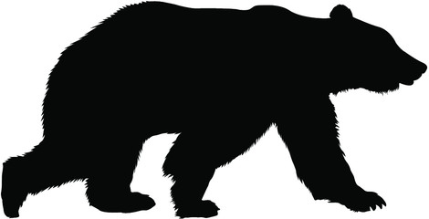 silhouette of bear