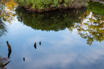 a small pond in a natural  moor reflects the surroundings