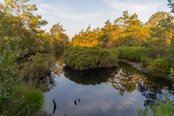 Fototapeta premium a small pond in a natural moor reflects the surroundings