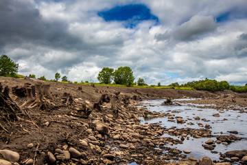 Tree trunks exposed from the former river bank in the drained Earlstoun Dam