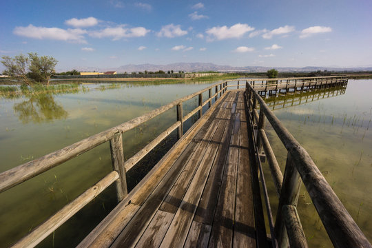 parque natural El Fondo, Elche, Alicante, Spain, Europe