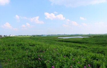 Obraz premium 空 河川敷 爽やか 渡良瀬 風景栃木