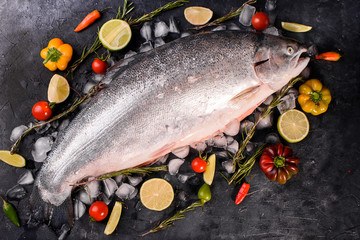 Large fresh fish trout on a dark background with ice, vegetables, lemon, sprigs of razmarin. Delicious and healthy food, omega 3. Proper nutrition
