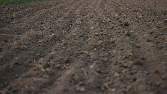 Shot back organic soil on sunrise light top view shot nature agricultural earth field garden natural organic rural close up macro slow motion