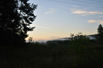 sunrise in the forest