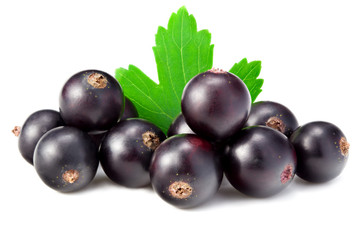 black currant with green leaf isolated on white background. macro