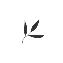 Hand drawn leaves. Vector simple floral icon.