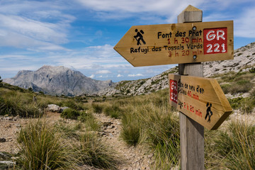 cartel de señalizacion de gran recorrido GR221 y Puig Major, 1436 metros. Coll des Telègraf....