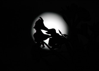 Silhouettes of flowers in the moonlight.