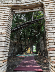 Obraz premium Many big tree roots covering The ancient church without roof inside there is a Buddha statue at The ancient of a 200 year old church. Wat Pah Krathum. No focus, specifically.