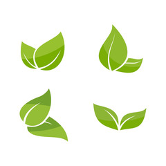 green leaf icon set on white background