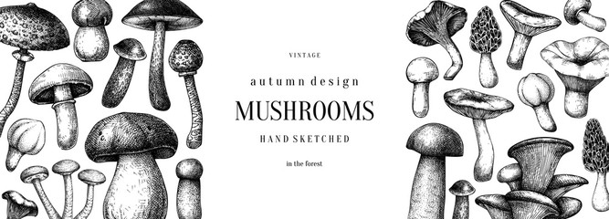 Vintage mushrooms banner. Edible mushrooms vector background. Hand drawn food drawings. Forest plants sketches. Perfect for recipe, menu, label, icon, packaging - obrazy, fototapety, plakaty