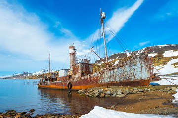 Wreck of the whaler ship Petrel, Former Grytviken whaling station, King Edward Cove, South Georgia,...