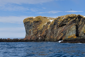Fototapeta premium Cooper Bay landscape, South Georgia, South Georgia and the Sandwich Islands, Antarctica