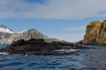 Fototapeta na wymiar Cooper Bay landscape, South Georgia, South Georgia and the Sandwich Islands, Antarctica