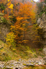 Autumn in Ordesa and Monte Perdido National Park, Spain