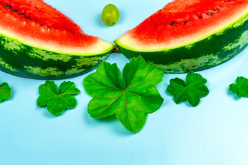 Close-up of fresh slices of red watermelon