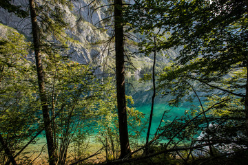Sunrise in Obersee lake, Bavaria, South Germany. Europe