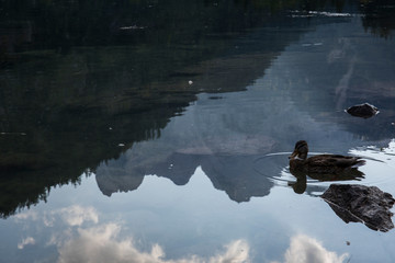 Summer sunset in the alps mountains, Northern Austria. Europe