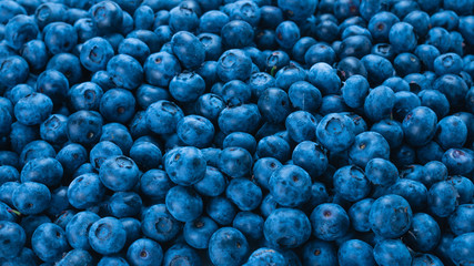 Fresh blueberry background.