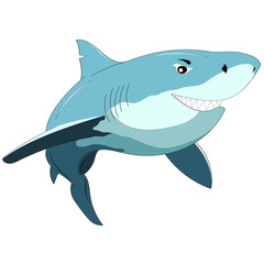 Cartoon shark isolated vector illustration on white background