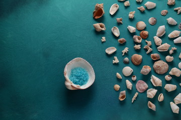 Sea shells on a sea wave color background. Summer vacation concept. Space for the text.
