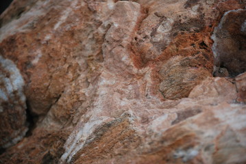 
particular shape and grain of a gray red rock