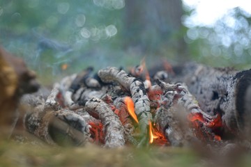 Cooking on the fire, fishing for pike. 