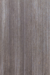 Pine tree wooden abstract texture