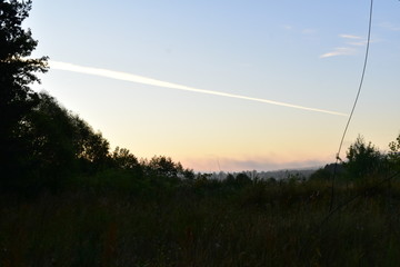 sunset in the forest