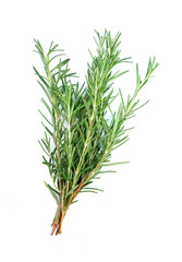 Rosemary herbal isolated
