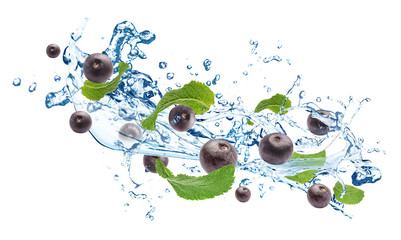 Water splash with acai berries and mint leaves on white background