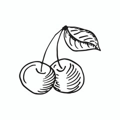Two cherry berry isolated on white background with leaf isolated on white background. Black Vector hand drawn sketch illustration in doodle outline. Summer harvest, healthy fruit berry, vintage, jam.