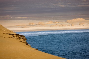 Desert and Ocean, Landscape in Paracas National Park, Peru